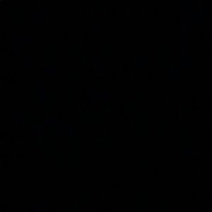 Meet your Posher, Yasmeen